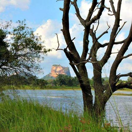 Rho Sigiriya Lake Edge Retreat Kibissa Экстерьер фото