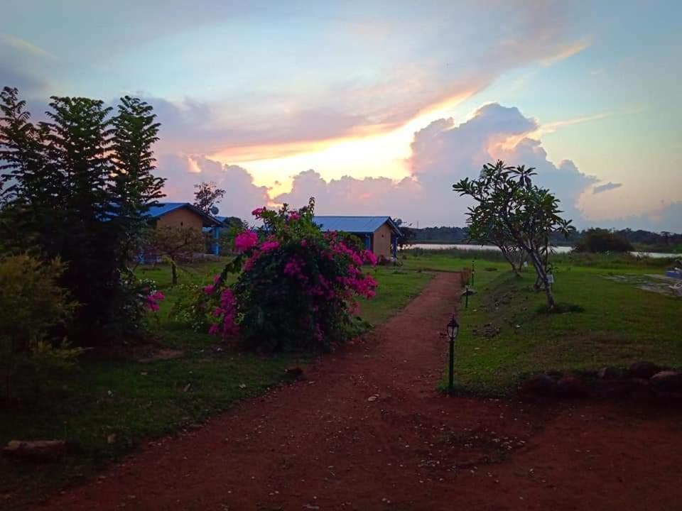 Rho Sigiriya Lake Edge Retreat Kibissa Экстерьер фото