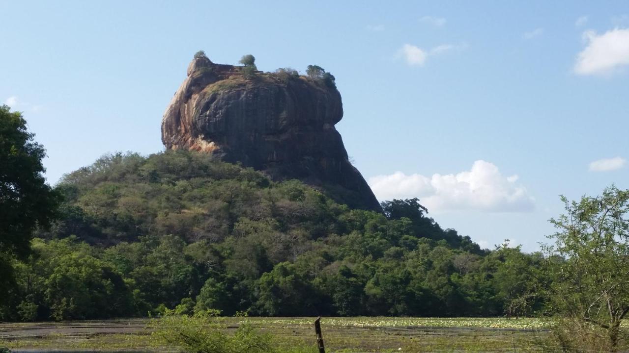 Rho Sigiriya Lake Edge Retreat Kibissa Экстерьер фото