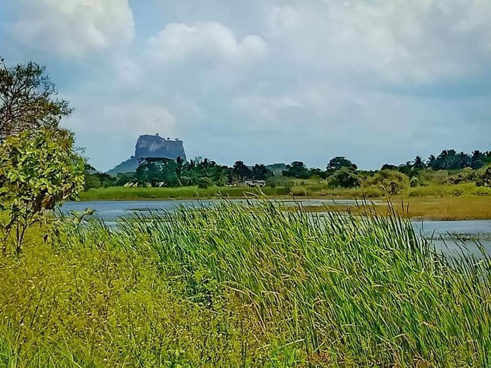 Rho Sigiriya Lake Edge Retreat Kibissa Экстерьер фото