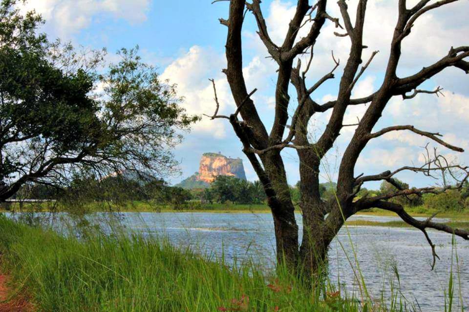 Rho Sigiriya Lake Edge Retreat Kibissa Экстерьер фото