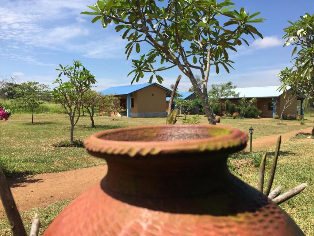 Rho Sigiriya Lake Edge Retreat Kibissa Экстерьер фото