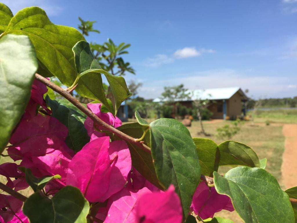 Rho Sigiriya Lake Edge Retreat Kibissa Экстерьер фото